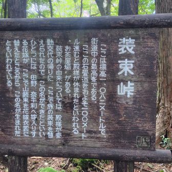 装束峠は街道の中で一番高いらしい🤔
