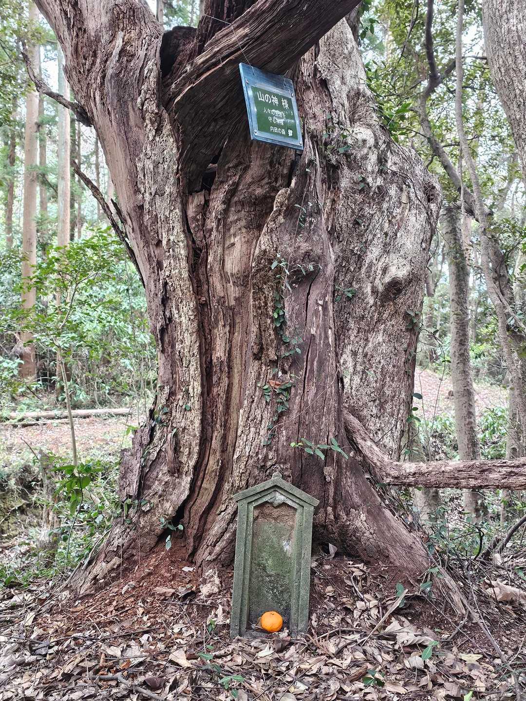 御十八夜-きつね山 周回コースの写真