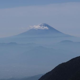 青々としてて良い感じ