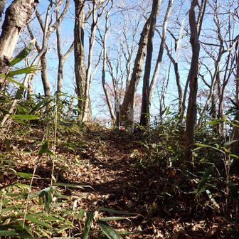 稜線に出ました。ここを左に行くと直ぐに花園山