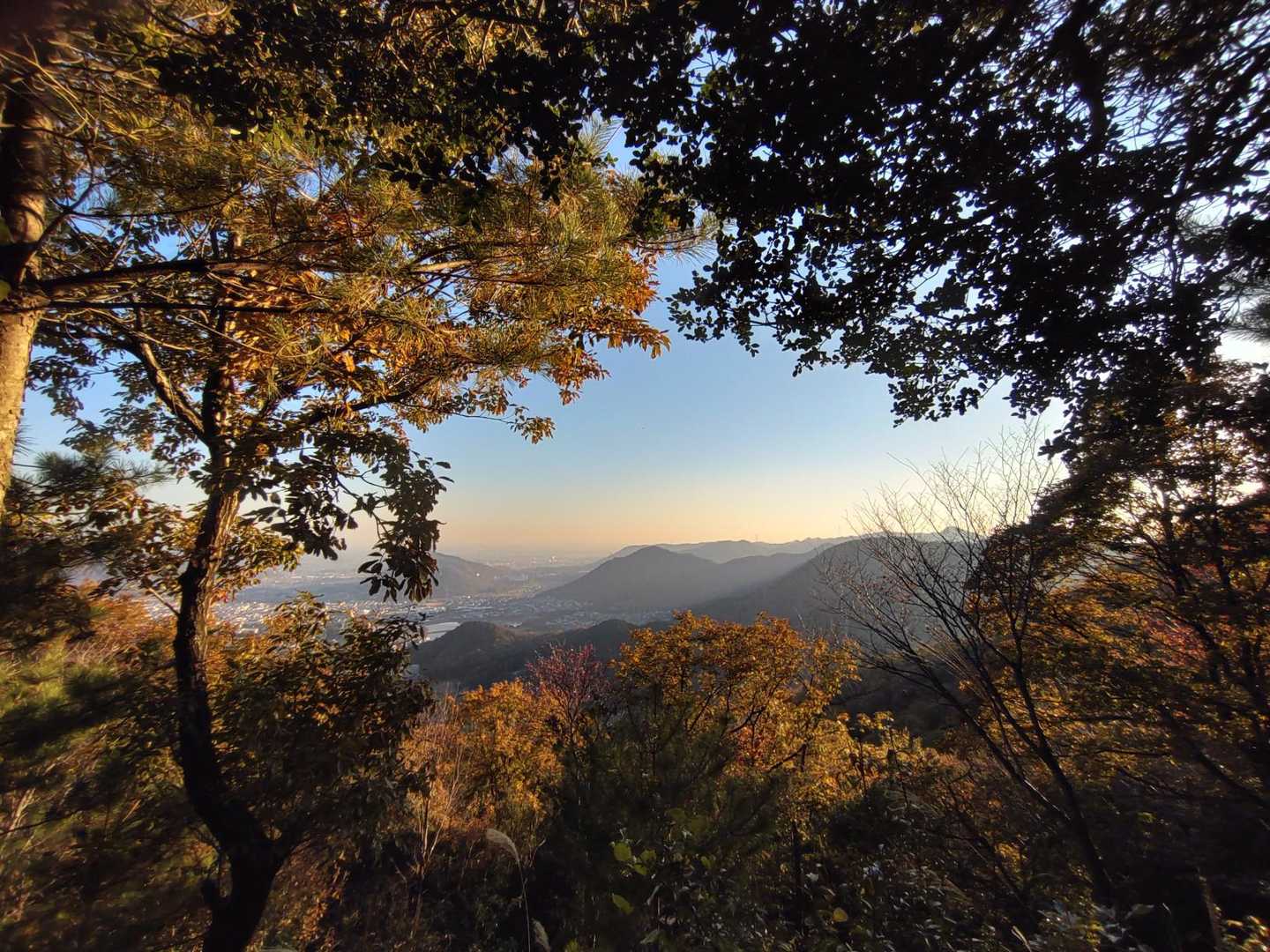 矢筈山 往復コースの写真