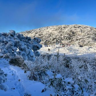 山頂駅前広場晴れてるね！