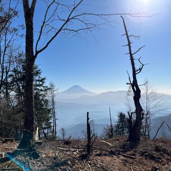 お久しぶりです。