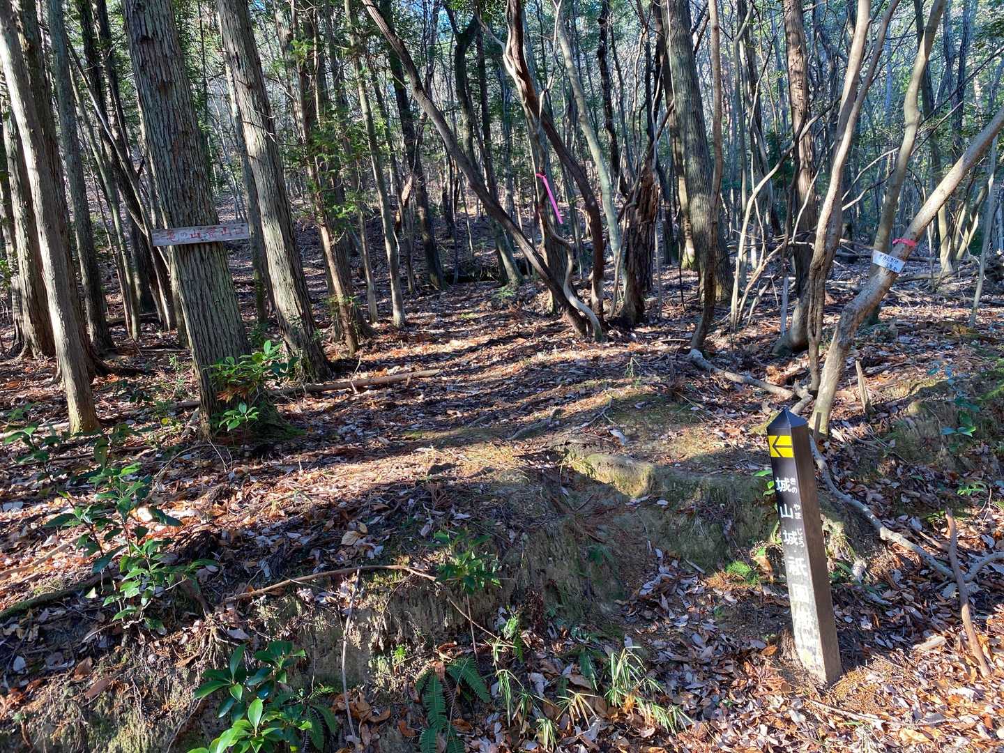 ここから登山口