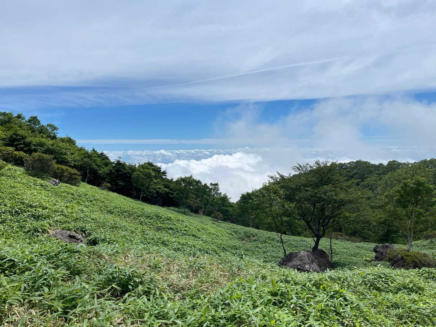 霧降高原レストハウス-丸山 周回コースの写真