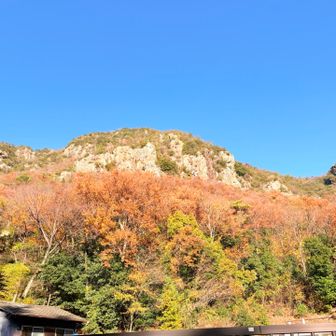 今日も癒しをありがとう😊