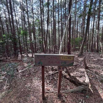 花子山
※YAMAP未登録

地元の小学生の名前がつけてあるのかな？