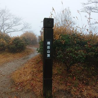 二上山（雌岳）
晴れていれば景色がいいようですがこの日は眺望無し