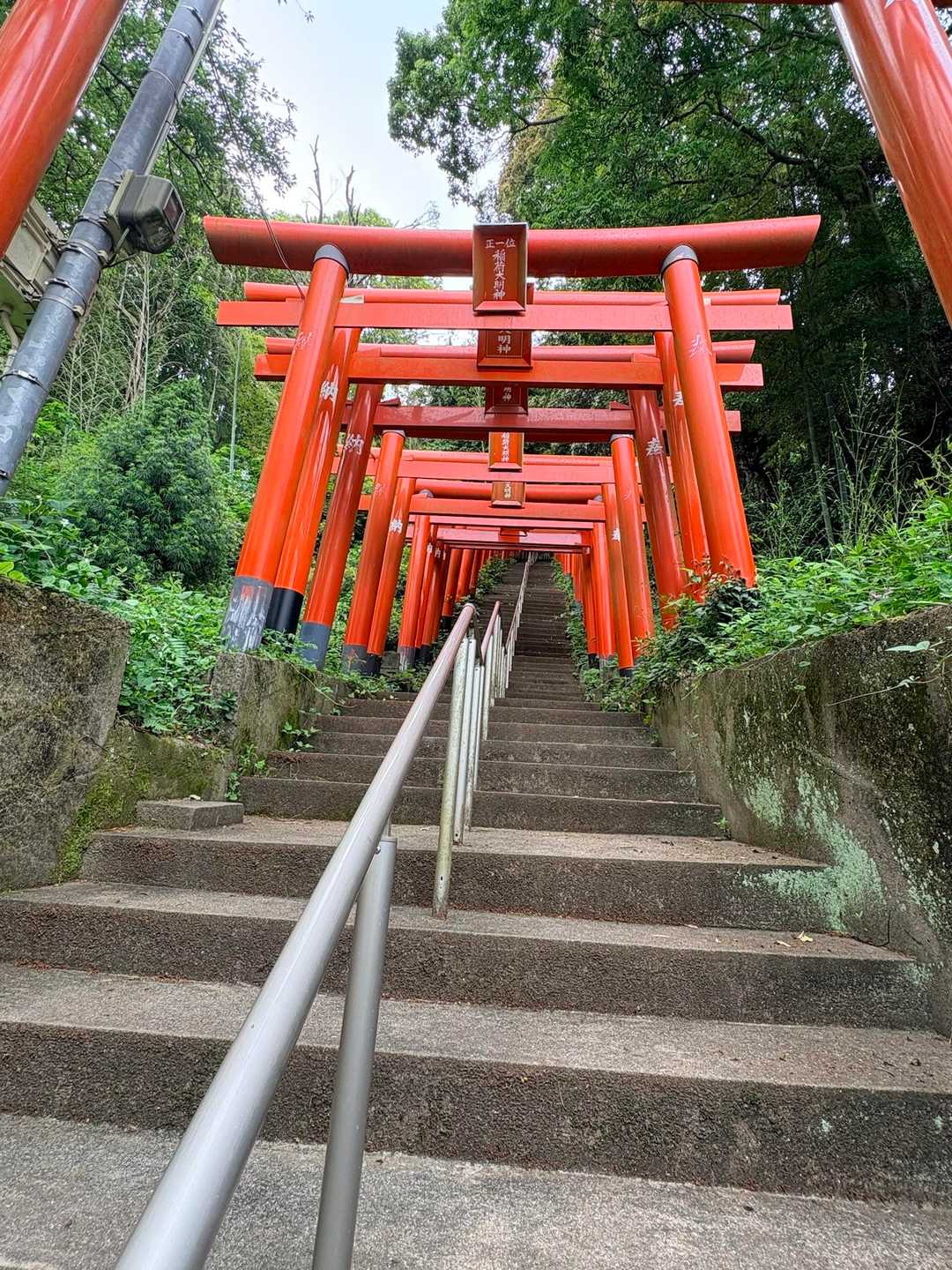 内浦登山口-湯川山-成田山登山口 周回コースの写真