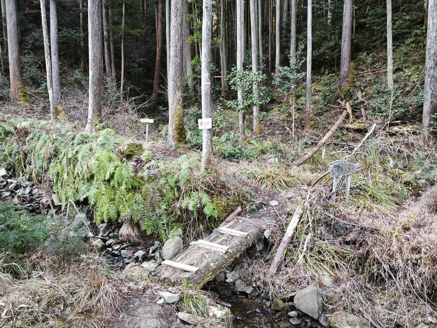 納古山 周回コースの写真