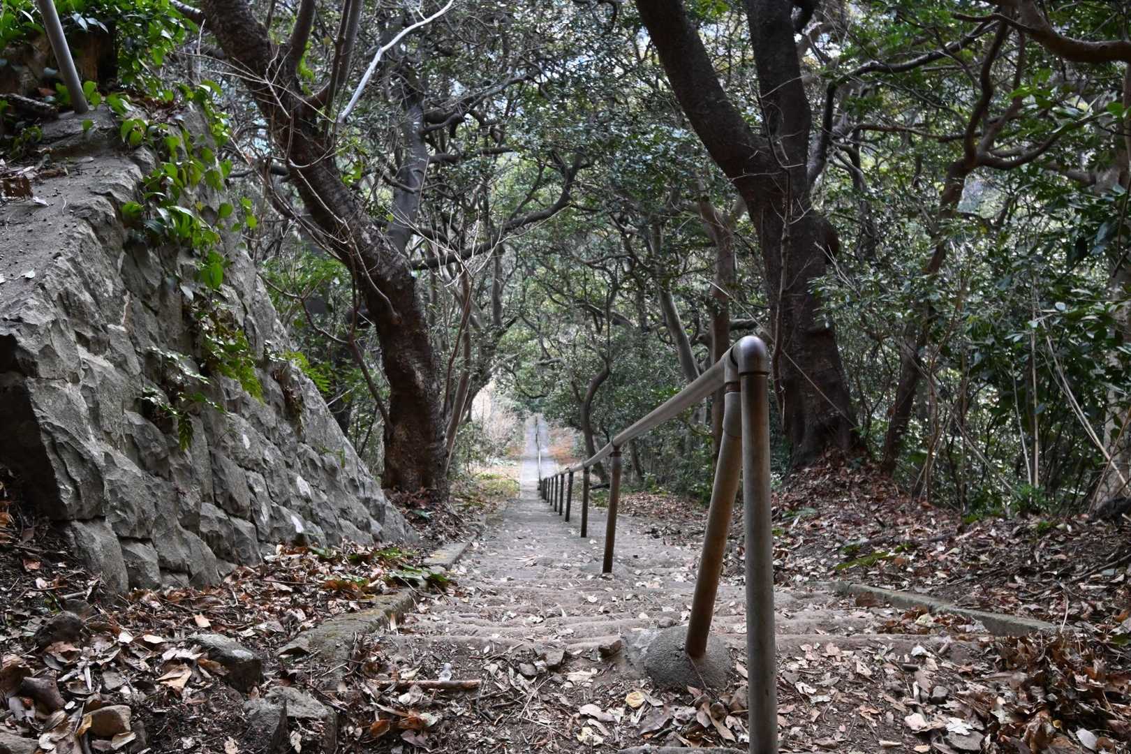 雲見〜千貫門〜高通山〜石部の棚田 周遊コースの写真