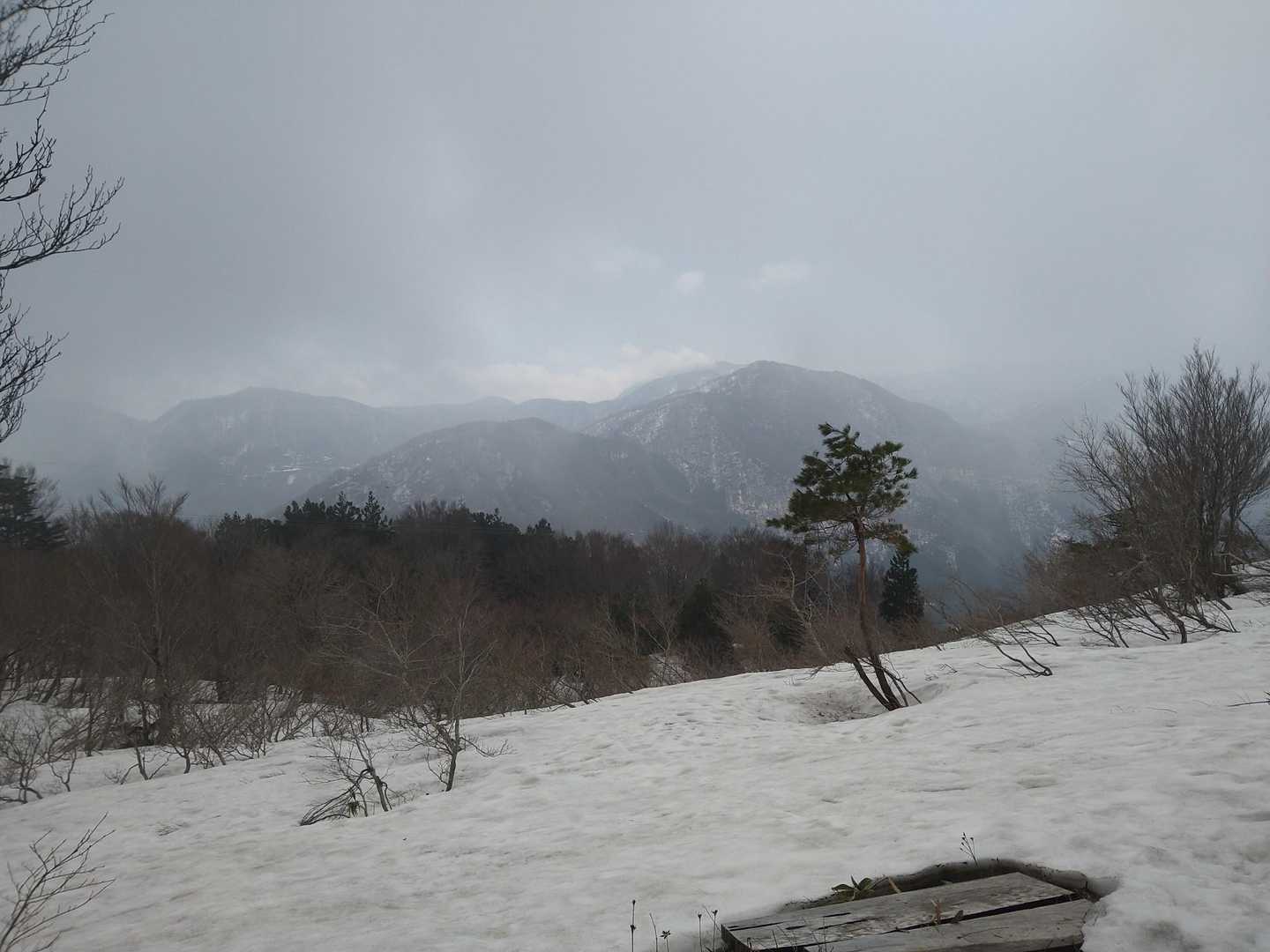 八乙女山五合目登山口-八乙女山-栃原峠-大寺山 往復コースの写真