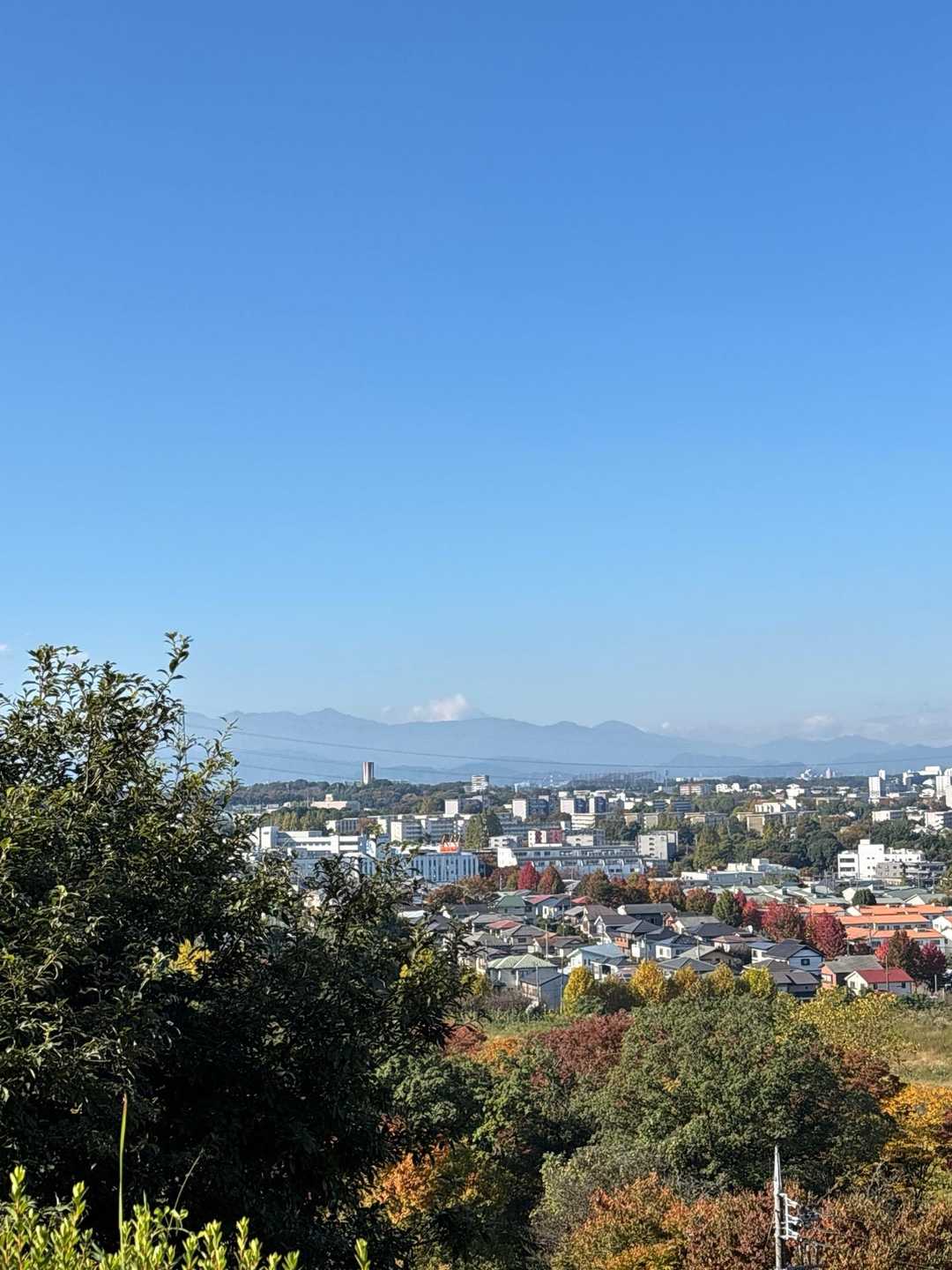 諏訪ヶ岳-古道五差路 縦走コースの写真