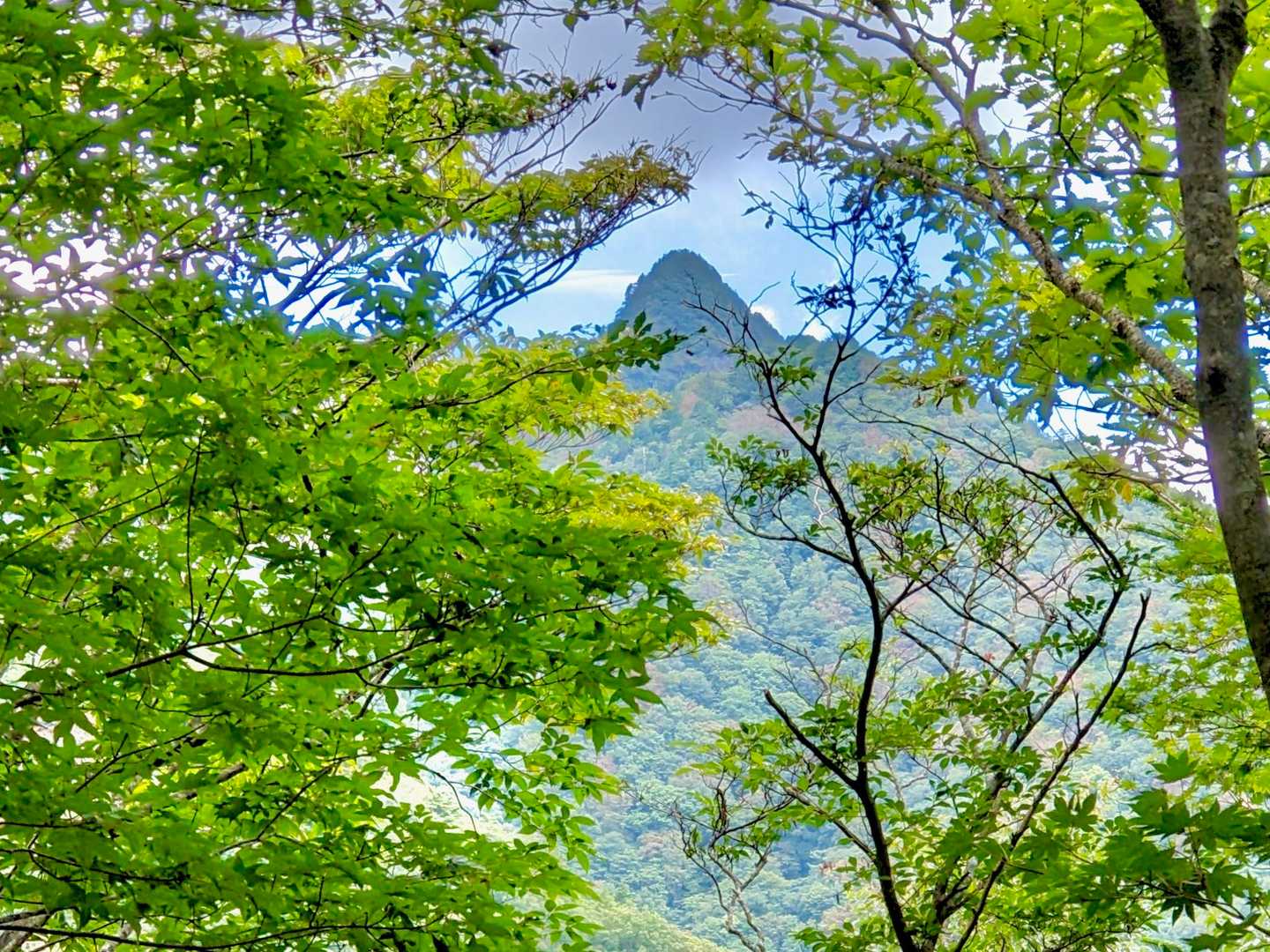 槍ヶ岳のように尖った大日山。