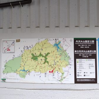 また丹沢ルート走破増えました。お疲れ様でした♪