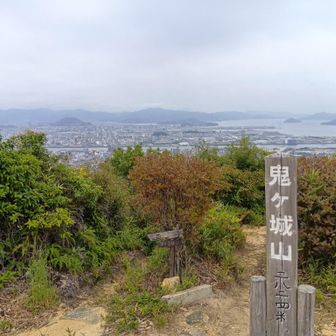 八畳岩から5分もかからず到着
鬼ヶ城山、登頂🚩
雨が凌げる八畳岩へ戻ります