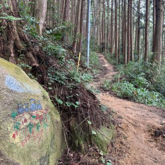 気持ちいい風が吹いて、ペースアップ