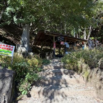 夜叉神峠駐車場の登山口に戻ってきました。がんばりましたー！ここから今度は車で関西方面へ向けて帰宅です。まだまだ先は長い…