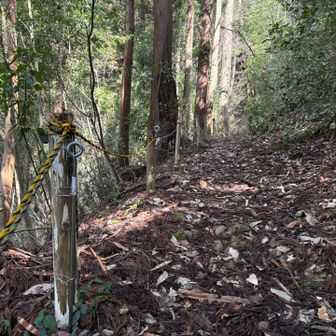 きれいに整備してくださっています