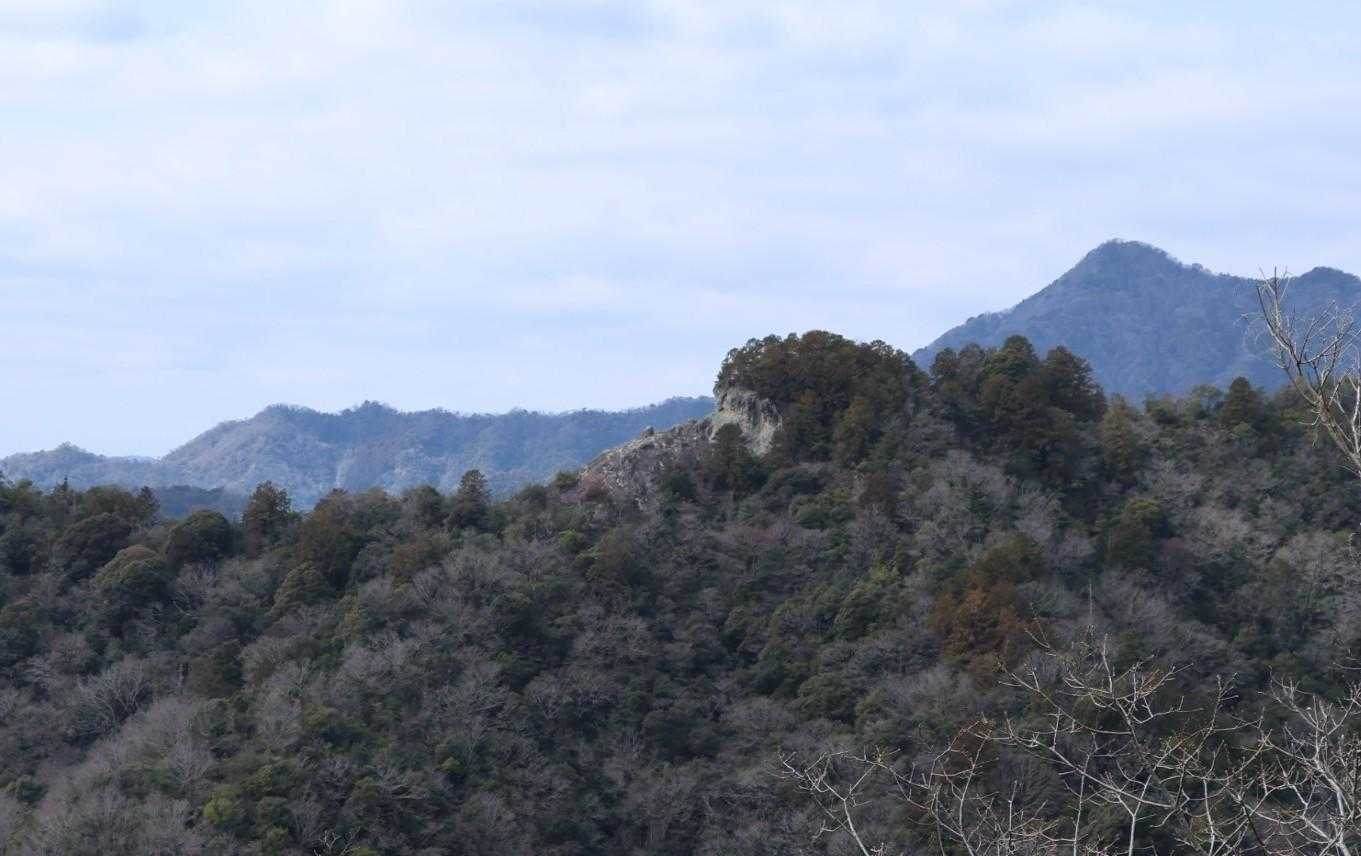 向こうにさっきのゴリラ岩見えますね