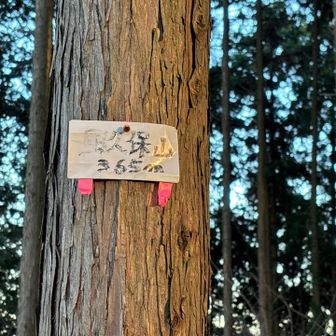 風久保山山頂看板
山頂への登山道はないし、どこが山頂かもわからんし、この看板見つけられたのはたまたま。
グレーピークとはいえ、結構ひどい山でした(;^_^A
これで21ピーク達成！