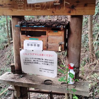 ヤマビルファイターがたっぷり置いてありました☆ありがたい〜
※今回の山行でヤマビルは見かけませんでしたが、対策はしたほうがいいと思います