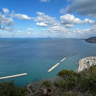 山頂から海を見下ろす🌊無加工でこの青さ🙏