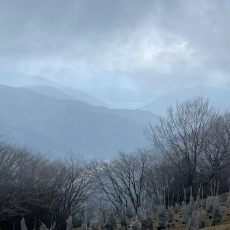 反対側。同じようなものかᴗ͈ˬᴗ͈⸝⸝)