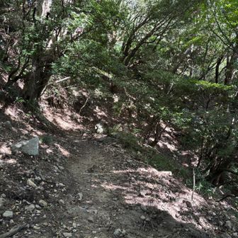 登山道