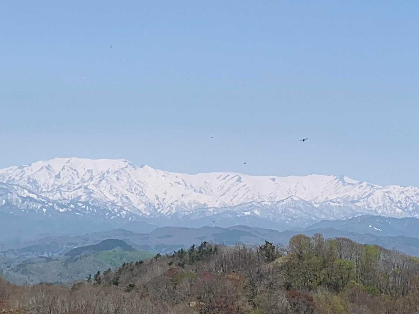 漆窪登山口-鳥屋山 往復コースの写真
