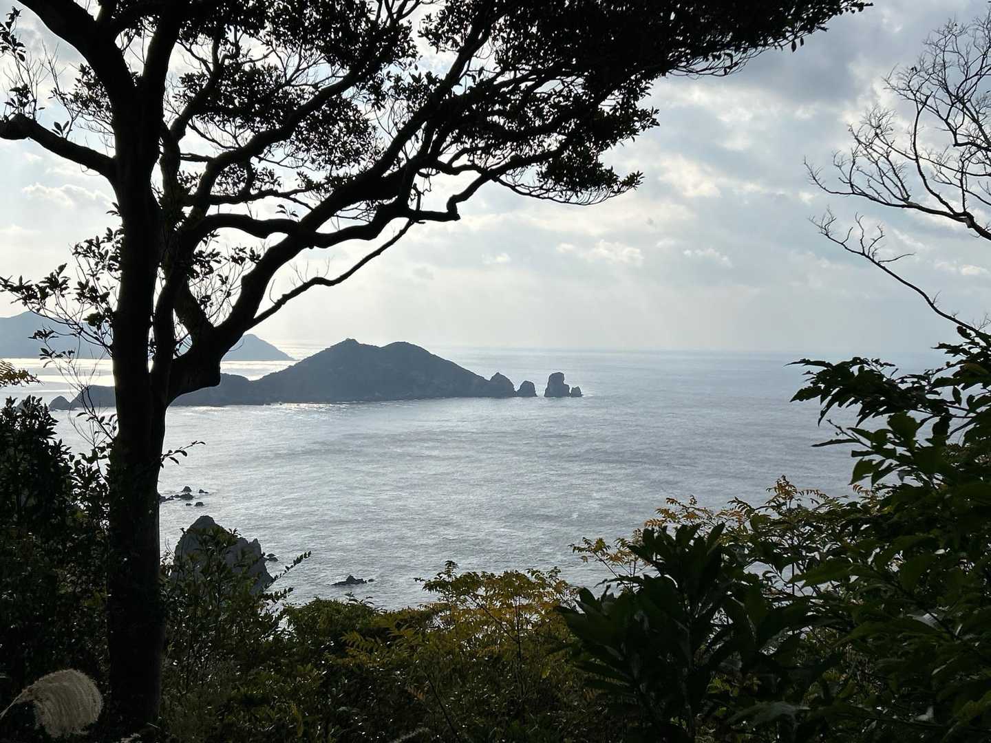 坊津方面はやっぱり景色がいいなぁ🏝️
釣りで何度も来ていた地域。秋目とか久志とかも最近は行ってない🎣