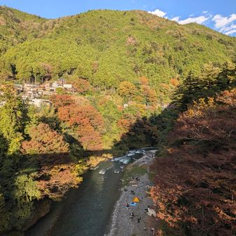これからの時期が楽しみです⛰️