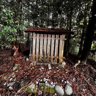 山頂の祠、今は管理もされてないのかな？

山の会の本には「高瀧大明神が祀られてる」とあるがここも隙間からしかお社は見えない

