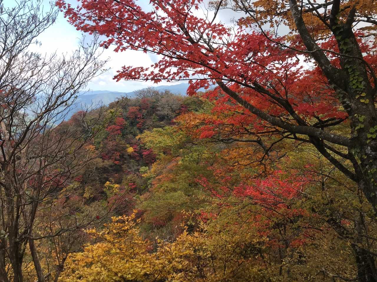 英彦山（中岳） 往復コースの写真