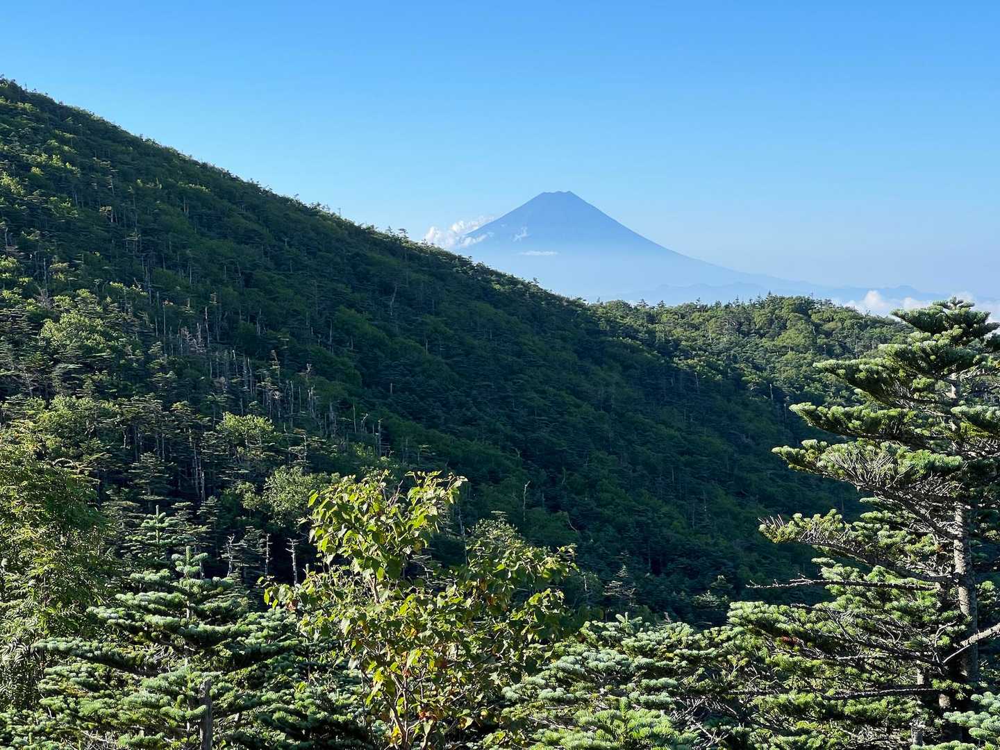 北奥千丈岳の肩に富士山🗻が現れました😙