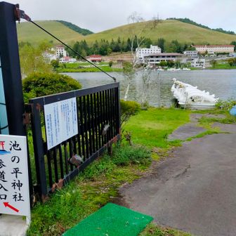 車で通ってもまるで気付いてなかった💦歩くと発見があるのが良いね！