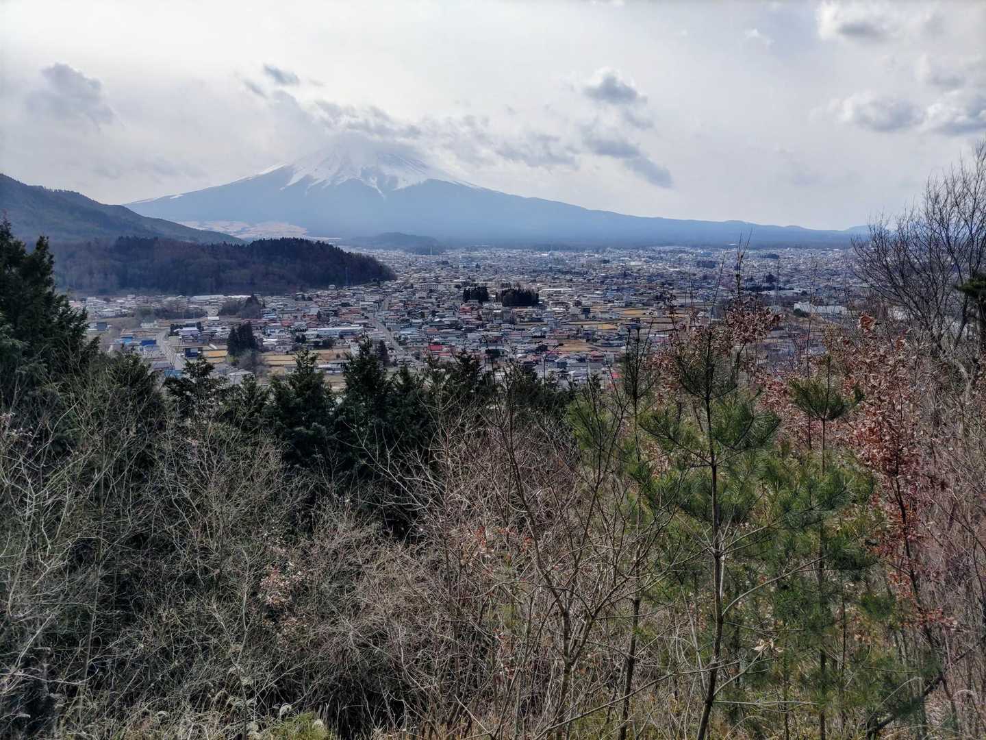 東桂駅-倉見山-寿駅 縦走コースの写真