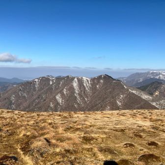 生きててよかったと感じる瞬間