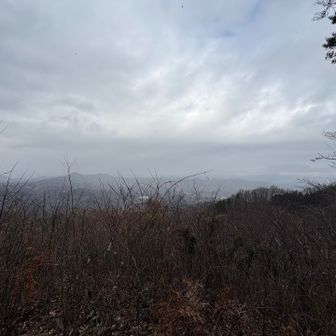 思ってたより見えてる