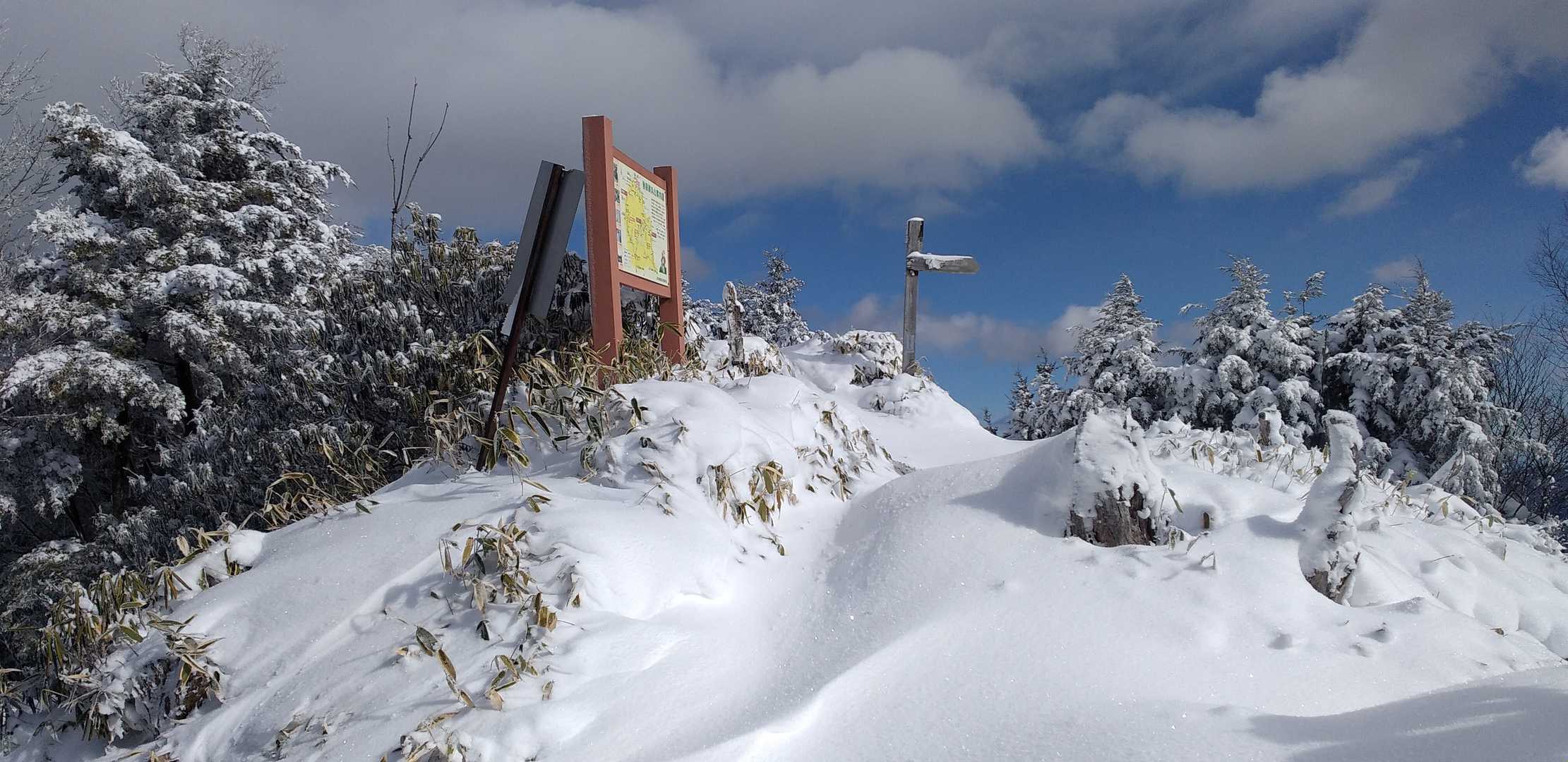 山頂もフカフカもふもふ
