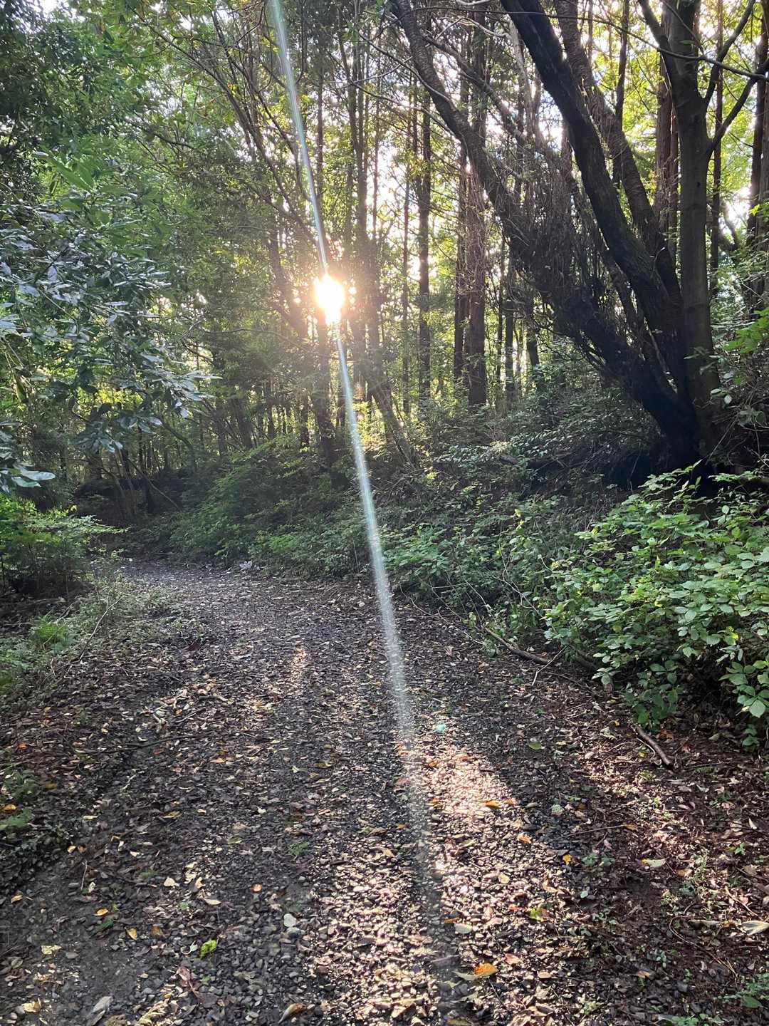 日が高くなってきました。