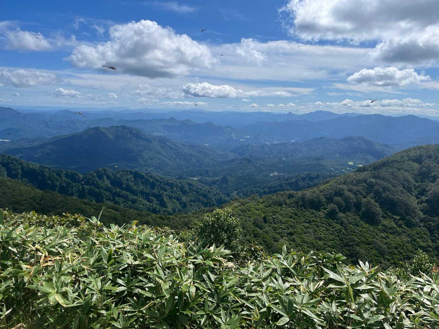 菱ヶ岳登山口-菱ヶ岳-与平の頭-中ノ岳-前一ノ峰 周回コースの写真