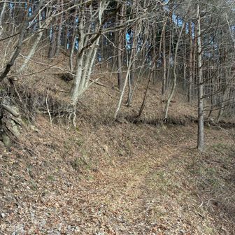 ここはイイカンジ