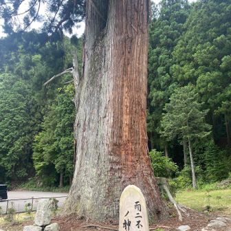 龍穴神社駐車場停めてスタート▶️