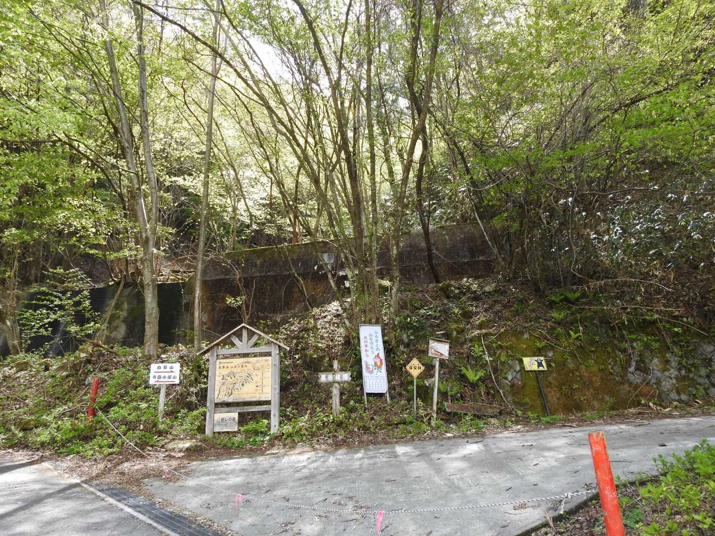 出発
少し歩いたらウグイスの囀り
姿も見えるけどあっちにこっちに動きすぎで撮れず！