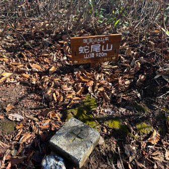 蛇尾山（医王山）