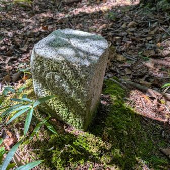 船ケ鼻山山頂の宮標石