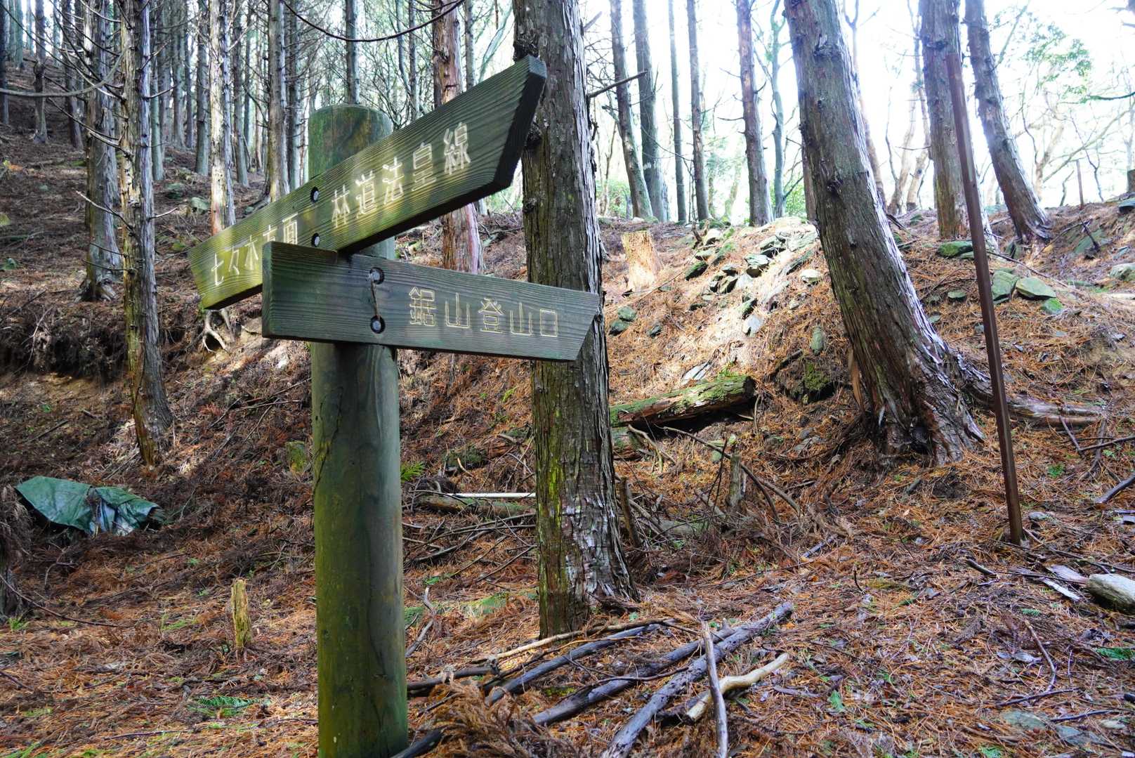 鋸山登山口
林道入口には沢山の車。今日はカタクリ目当の登山者が多い