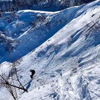 林道を滑る❓それじゃ面白くない（たぶん）
Goさん、東屋から急斜面をドロ〜ップ⛷️
ヘルメット🪖忘れたそう、、気をつけてね🤲