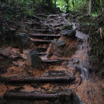 小川のように水が流れている箇所が増えていました。